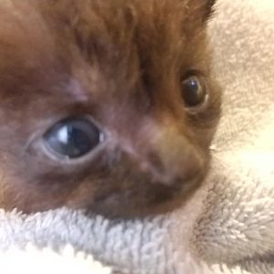 Meet your Posher, Joni